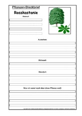 Pflanzensteckbrief-Rosskastanie.pdf